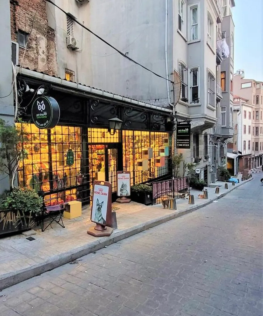 Stylish City Getaway-Explore The Urban Delights Istanbul